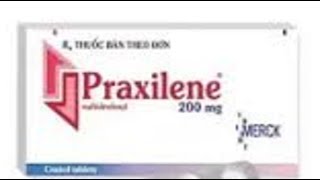 براكسيلان أقراص لتحسين دوران الدم فى المخ والاطراف Praxilene Tablets 2 [upl. by Kitti]