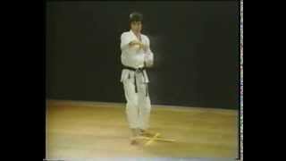 5 Heian Godan Kata Faixa Verde Shotokan Karate [upl. by Lotta]