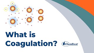 What is Coagulation  Basics of Coagulation and Flocculation [upl. by Darb]