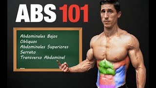 ABS 101 ¡Plan Paso por Paso Para un Six Pack TRABAJA TODAS LAS AREAS [upl. by Kcirdek]