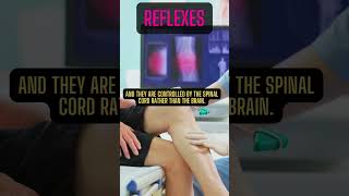 Tips No 73Mastering Reflexes Boost Your Skills 🏆 Reflexes101 [upl. by Harihat]