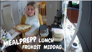 MEALPREPP En Veckas Måltider För En Person [upl. by Shayla]