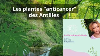 Plantes anticancer des Antilles [upl. by Eltsyrk654]