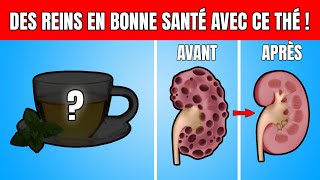 6 Thés Miracles pour Sauver Vos Reins et Éliminer la Créatinine  🍵 [upl. by Zolner]