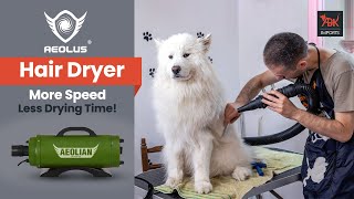 Why the Aeolus Dryer Pro is a MustHave for Pet Owners [upl. by Helbonia]