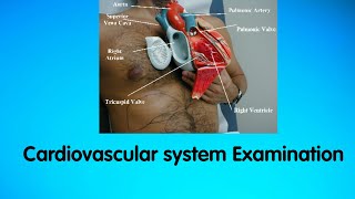 Clinical Examination of Cardiovascular system JVP  Auscultation [upl. by Aivlis]