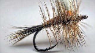 Ausable Bomber by adkflytying [upl. by Aneekat]