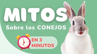 7 MITOS comunes sobre los CONEJOS [upl. by Sirromal]