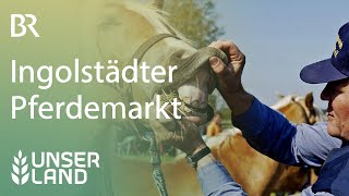 Ingolstädter Pferdemarkt  Unser Land  BR [upl. by Ahsieyk428]