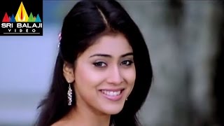 Naa Alludu నా అల్లుడు Telugu Movie  Full Songs Jukebox  JrNTR Shreya Sharan Genelia [upl. by Ahsienaj364]