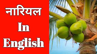 Nariyal In English  नारियल Ko English Me Kya Kahate Hain  Shabdkosh Dictionary [upl. by Meggs]