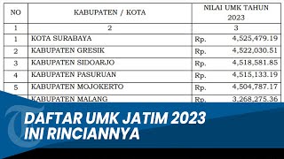 Daftar Lengkap UMK Jatim 2023 Ini Rinciannya [upl. by Aikahs]