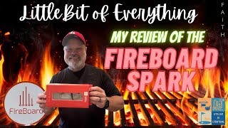 Review of the Fireboard Spark Instant Read Thermometer [upl. by Ylak]