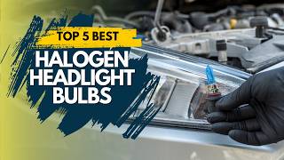 Best Halogen Headlight Bulbs 2024 🔥 Top 5 Best Halogen Headlight Bulbs Review [upl. by Eenor282]