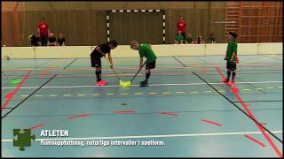 Innebandy för barn  Träning på grön nivå [upl. by Skipp]