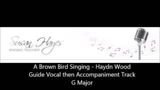 A Brown Bird Singing  G major  guide vocal then rehearsal track [upl. by Anairad]