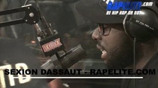 Sexion dAssaut  Live Morceau Desolé [upl. by Yessak967]