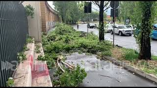 Nubifragio a Milano alberi sradicati e linee dei tram deviate [upl. by Enileme]