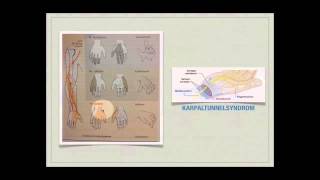 Basiskurs Neurologie Erkrankungen des PNS Teil 1314 [upl. by Feucht]