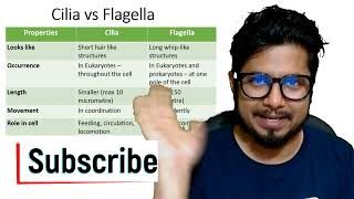 Cilia vs flagella  The difference between flagella and cilia [upl. by Tomkiel]