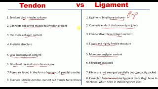 Differences between Tendons and Ligaments  Tendons vs Ligaments  Examples [upl. by Krucik]