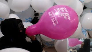 B2P Blow to pop English Firsts Pink Balloon [upl. by Allene82]