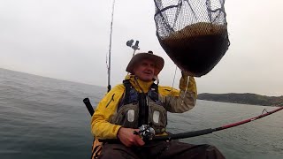 Kayak Fishing  Great Plaice Fishing UK Plus Plaice Rig and Baits  Plaice Fishing Cornwall [upl. by Eseer]