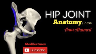 Hip Joint anatomy clearly explained Tamil medilecturestamil [upl. by Eugnimod]