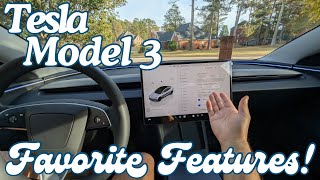 Top Features I Love About the Tesla Model 3 [upl. by Ahsieit231]