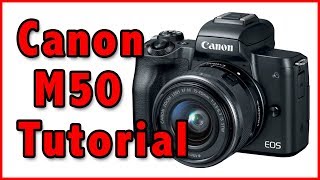 Canon M50 Full Tutorial Training Overview [upl. by Eceirahs]