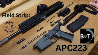 Field Strip BampT APC223 Pistol [upl. by Mccready]