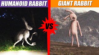 Humanoid Rabbit vs The Giant Rabbit  SPORE [upl. by Vicky]