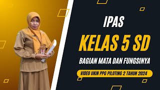 Pembelajaran IPAS Kelas 5 SD Bagian Mata dan Fungsinya  Video Ukin PPG 2024  Rahimakumullah [upl. by Gnoz]