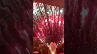 1000 fireworks short MACHINE GUN pyro fireworks 2024 diwali aayodhya travelvlog reels [upl. by Rondon]