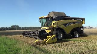 new Holland cx820 met sound Noordbroek oost Groningen farmers [upl. by Enylekcaj]