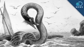 Real Life Sea Monsters [upl. by Sophronia]