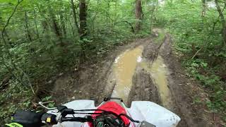 Honda TRX250X “Creek Trail” Ride [upl. by Dabney]