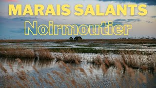 MARAIS SALANTS NOIRMOUTIER [upl. by Duax653]