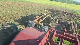 Discing Cultivating and blowing up tires  Tillage 2024 [upl. by Chandra]