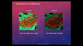 Confocal Laser Scanning Microscope [upl. by Werda]