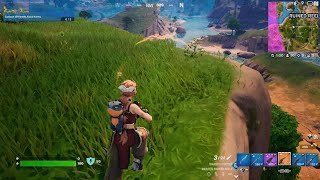 Fortnitesolo dub [upl. by Esertal555]