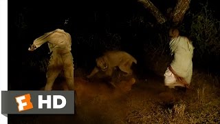 Out of Africa 310 Movie CLIP  Lions Attack Karens Ox 1985 HD [upl. by Clava680]