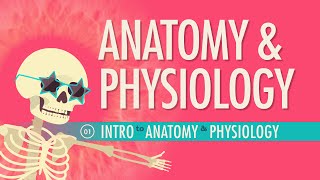 Introduction to Anatomy amp Physiology Crash Course Anatomy amp Physiology 1 [upl. by Leinto]