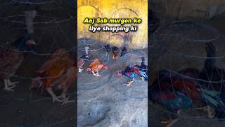 Aaj San murgon ke liya shopping ki😱🐓shorts youtubeshorts [upl. by Inhsor318]