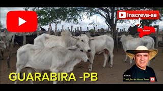 TRADICIONAL FEIRA DE GADO DE GUARABIRA PB ✅21112024✅ [upl. by Illah]