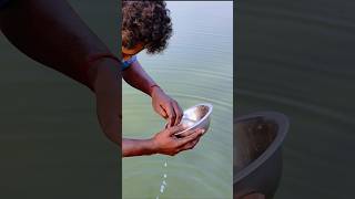 how to checking fish spawn shortsvideo freshwaterfish fiss [upl. by Saltsman404]