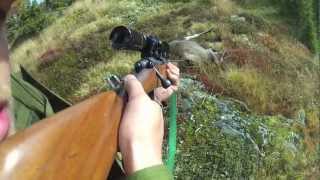 GoPro HD  Elgjakt  Moose Hunting [upl. by Etem]