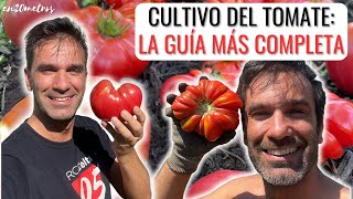 La MEJOR GUÍA DE CULTIVO DE TOMATES que verás en Youtube  en20metros [upl. by Konopka328]