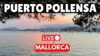 🔴LIVE in Puerto Pollensa Mallorca Majorca  4 August 2024 [upl. by Chere]