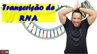 Transcrição de RNA ou Síntese de RNA  Conceito e Processo  Genética Molecular  Bioquímica [upl. by Einama]